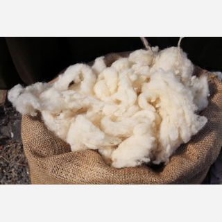 sheep wool fibre